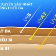 Tia tử ngoại là gì? Lợi ích và tác hại trong đời sống